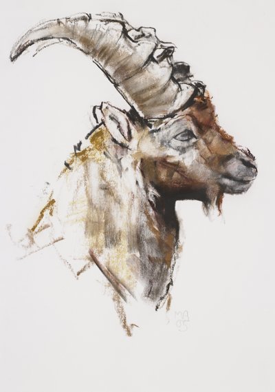 Giovanotto, 2005 von Mark Adlington